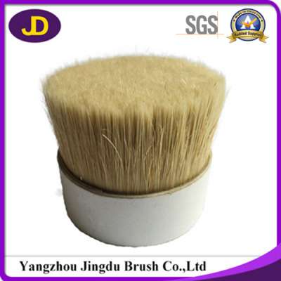 38-140mm Size Chungking Nature Boiled Bristles for Paint Brush